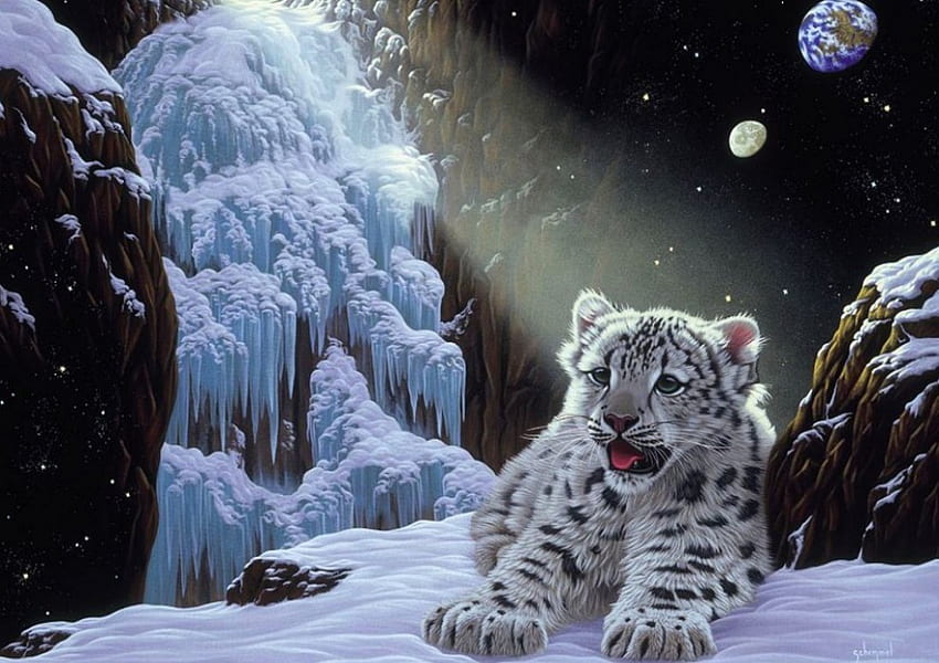 Snow Leopard Cub in Frozen Land, planet, moon, fantasy, snow, ice HD wallpaper
