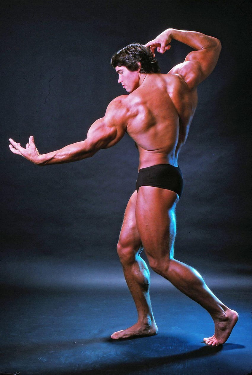 Die drei wichtigsten Lektionen, die Geschäftsleute lernen können, Arnold Schwarzenegger Bodybuilding HD-Handy-Hintergrundbild