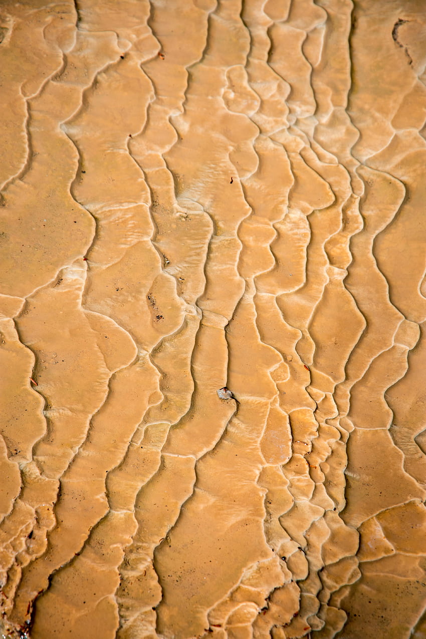 Sand, Texture, Textures, Traces, Drought, Invoice HD phone wallpaper