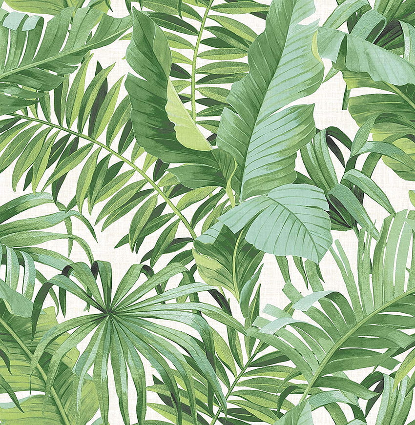 A Street Prints 2744 24136 Alfresco Green Palm Leaf, Jungle Leaves HD тапет за телефон