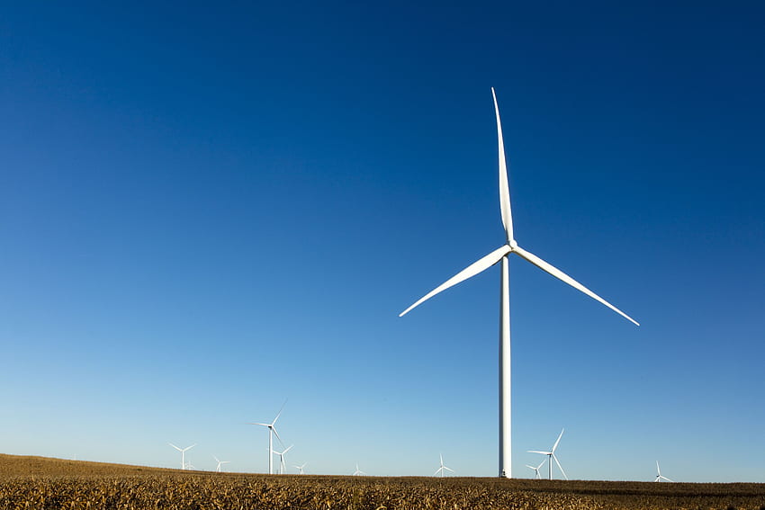 ドナルド・トランプは、ウォーレン・バフェットのクリーンエネルギーへの賭けをコースから外しますか?. 幸運、風力エネルギー 高画質の壁紙