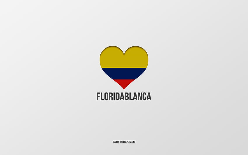 I Love Floridablanca, Colombian cities, Day of Floridablanca, gray background, Floridablanca, Colombia, Colombian flag heart, favorite cities, Love Floridablanca HD wallpaper