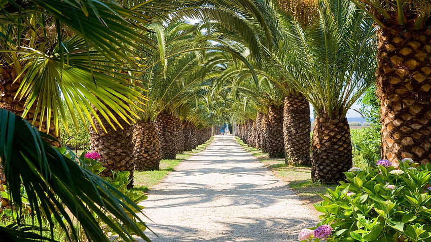 Star Hotel Saint Tropez - Château de Valmer - Luxury hotel French, St Tropez France HD wallpaper