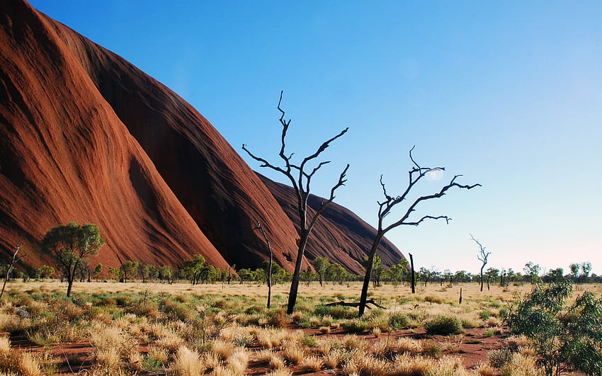Uluru Ayers Rock, bleu, jour, déserts, ciel, beau, nature, arbustes, clair Fond d'écran HD