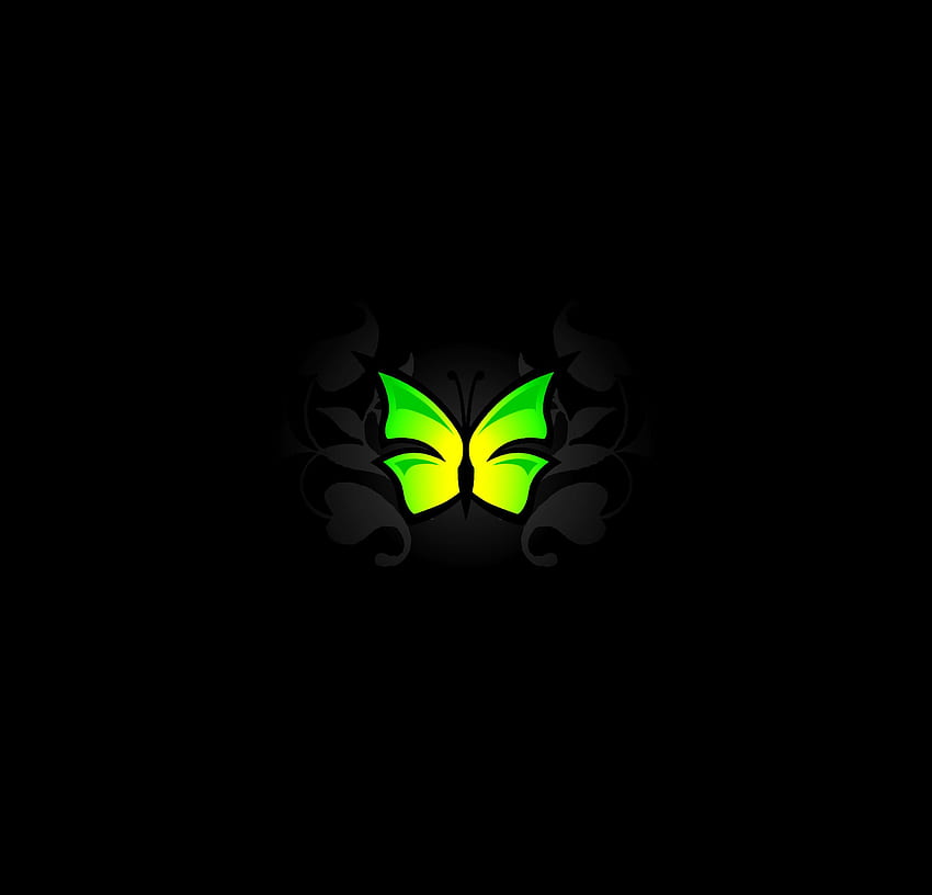 Muster, Vektor, Schmetterling, Hellgrün, Salat HD-Hintergrundbild