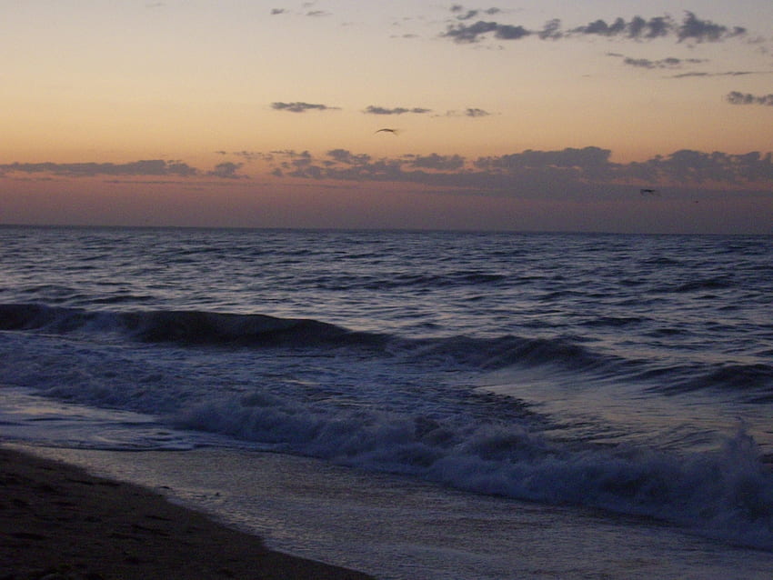 Kraj, woda, niebo, morze, plaża Tapeta HD