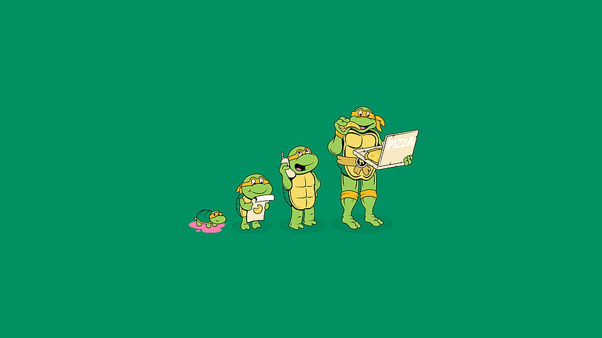 Teenage Mutant Ninja Turtles Michelangelo Pizza Green Turtle humor, Funny Turtle HD wallpaper