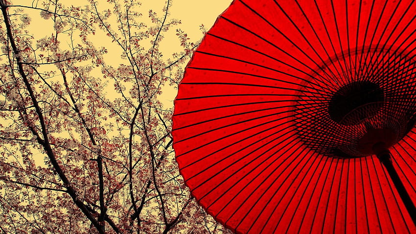 Cherry blossoms oriental umbrellas tree parasol, Red Oriental HD wallpaper