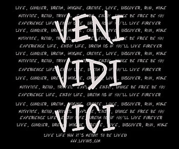 We're All Gonna Make It Brah - Veni Vidi Vici Zyzz Logo HD wallpaper ...