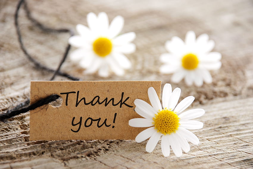 Von Dankeschön-Blumen mit süßem Dankeschön HD-Hintergrundbild