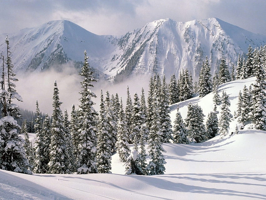 Пейзаж, Зима, Природа, Планини, Сняг HD тапет