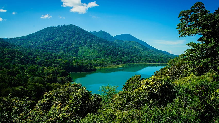 湖、山、バリ、インドネシア、森林都市、自然 高画質の壁紙