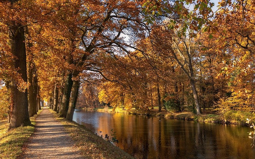 Taman di tepi sungai, sungai, jalan raya, jalan setapak, taman, musim gugur Wallpaper HD