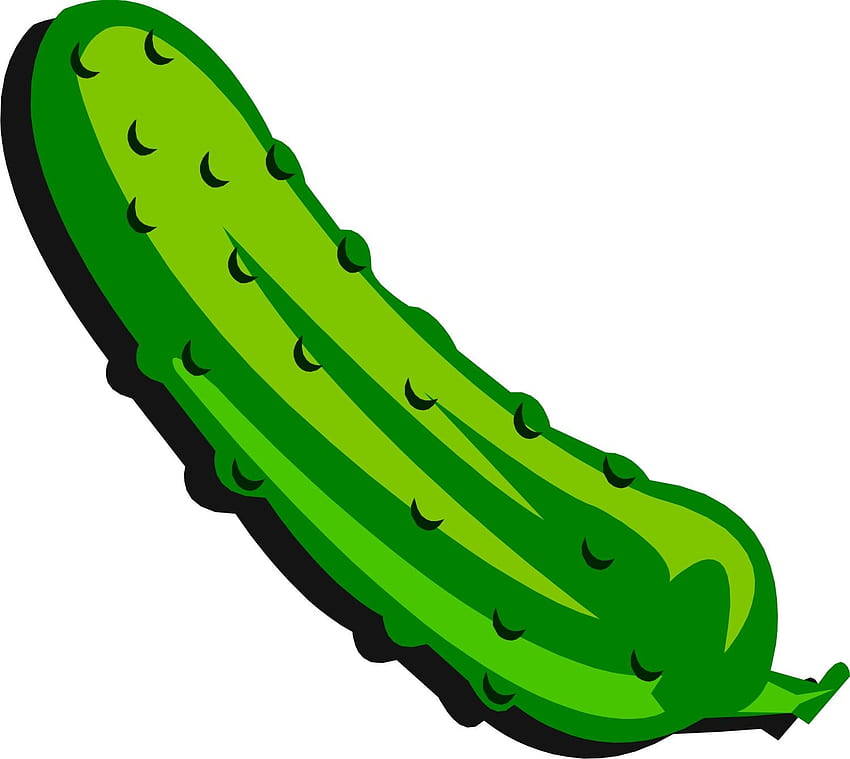 Dill Pickle . Dill Pickle HD wallpaper