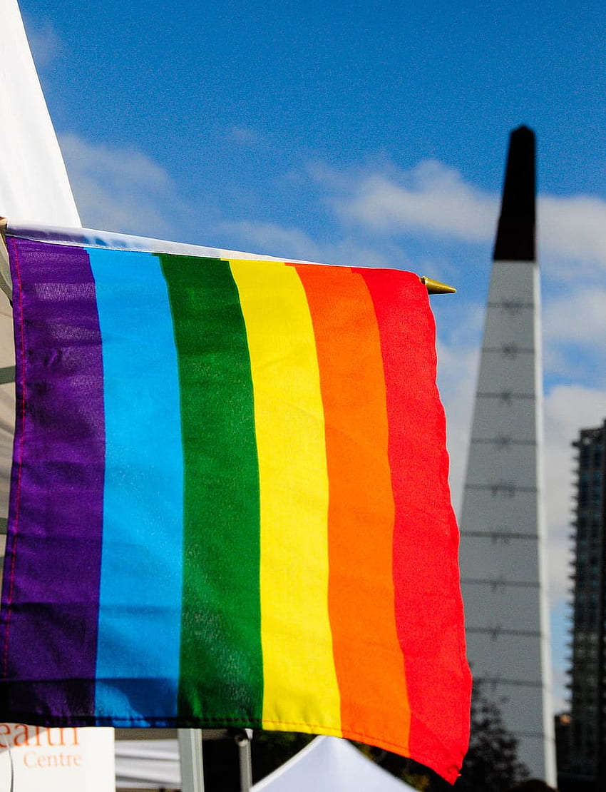 Bandera Lgbt , , , Bandera del Orgullo LGBT fondo de pantalla del teléfono  | Pxfuel