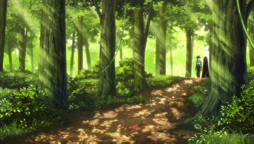 SAO: First Floor Forest, kirito, scene, asuna, girl, yuuki, tree, anime girl, sword art online, anime, nature green, scenic, forest HD wallpaper
