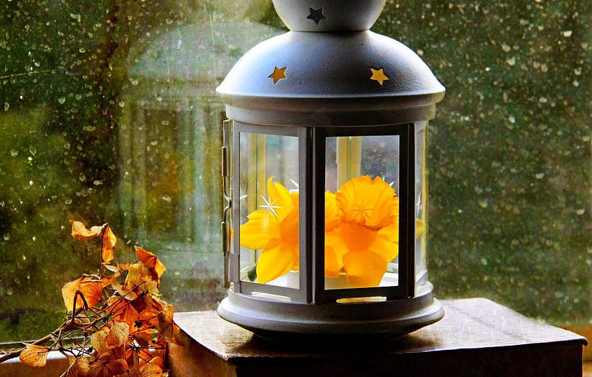 automne, fleur, feuilles, gouttes, printemps, fenêtre, lanterne, fleur, automne, feuilles, fenêtre, Narcisse, gouttes, printemps, papier, lanterne pour , section разное Fond d'écran HD