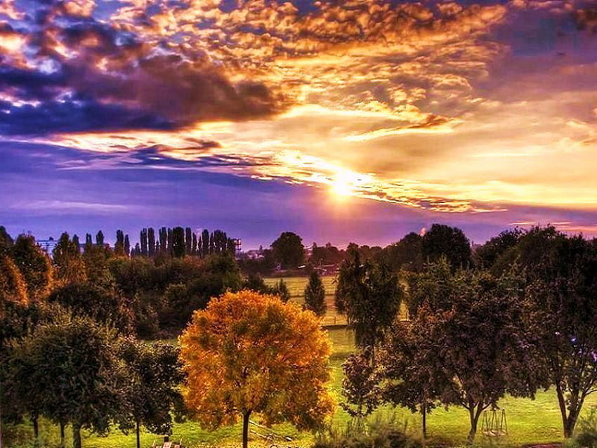 ทองในหุบเขา ท้องฟ้าสีม่วงทอง เมฆ ฤดูใบไม้ร่วง หญ้า ต้นไม้สีเขียว ใบไม้สีทอง ต้นไม้ วอลล์เปเปอร์ HD