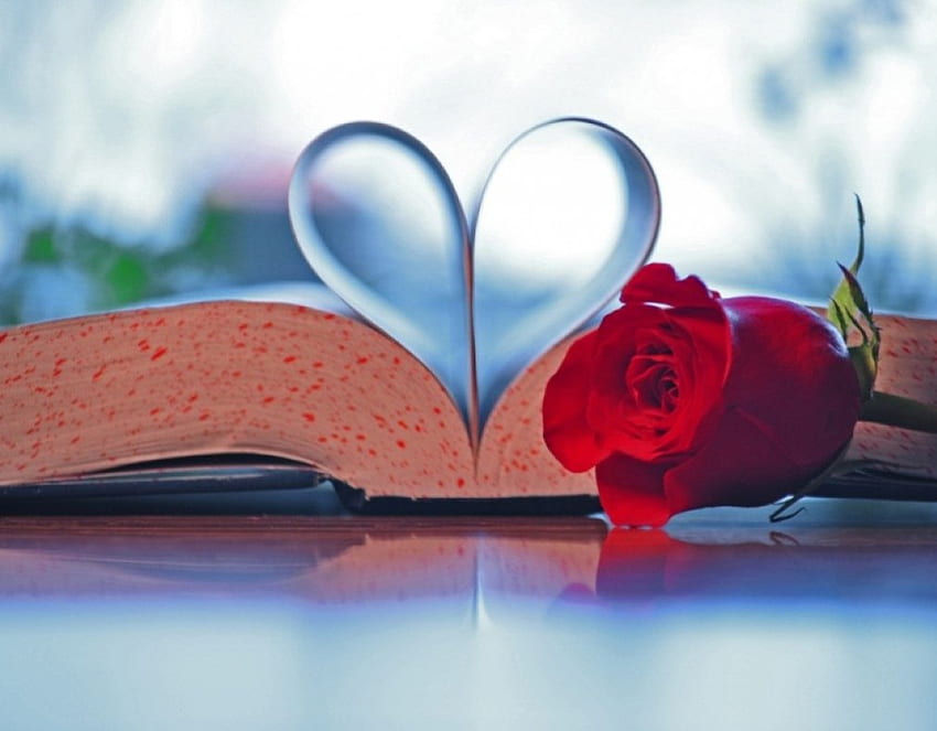 Book Of Love, book, love, cute, object, red rose, heart HD wallpaper
