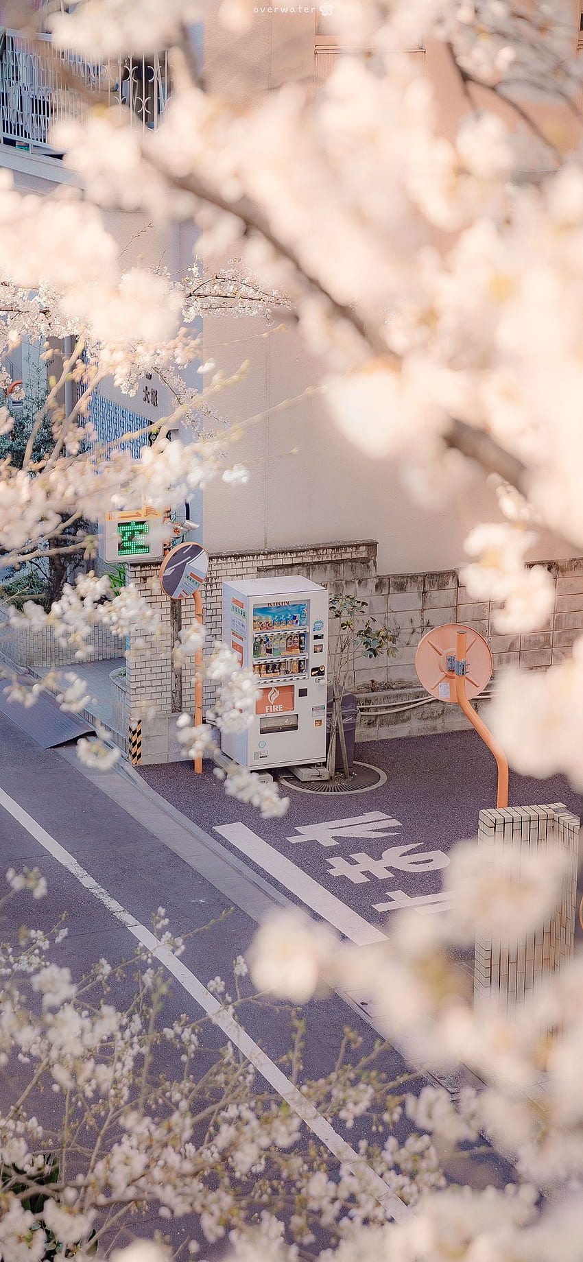 Sakura Airi, vending machine, Japan, vertical, portrait display. . Scenery , Anime scenery, Scenery, Aesthetic Vertical HD phone wallpaper