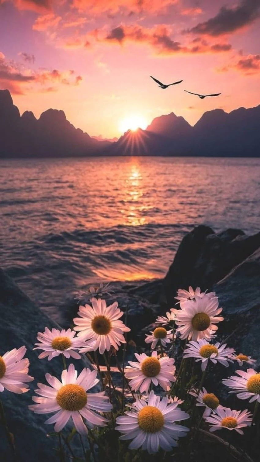 アイフォン。 空, 自然, 自然の風景, 日没, 美的夕日 HD電話の壁紙