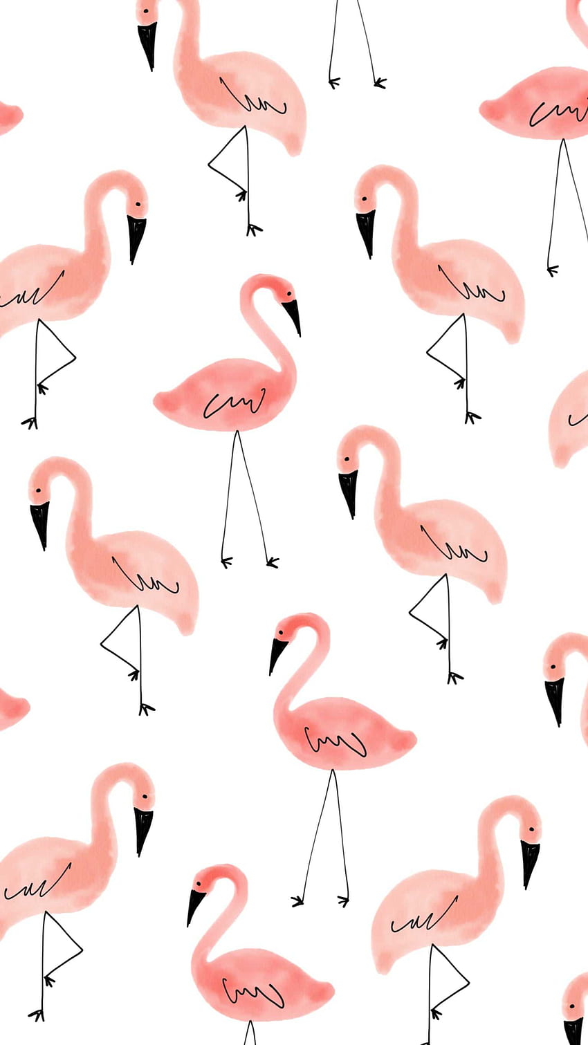 Flamingo, Pink Flamingo Laptop HD phone wallpaper | Pxfuel