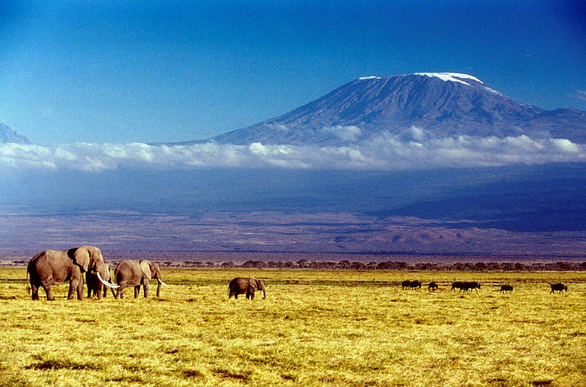 Kilimanjaro HD wallpaper