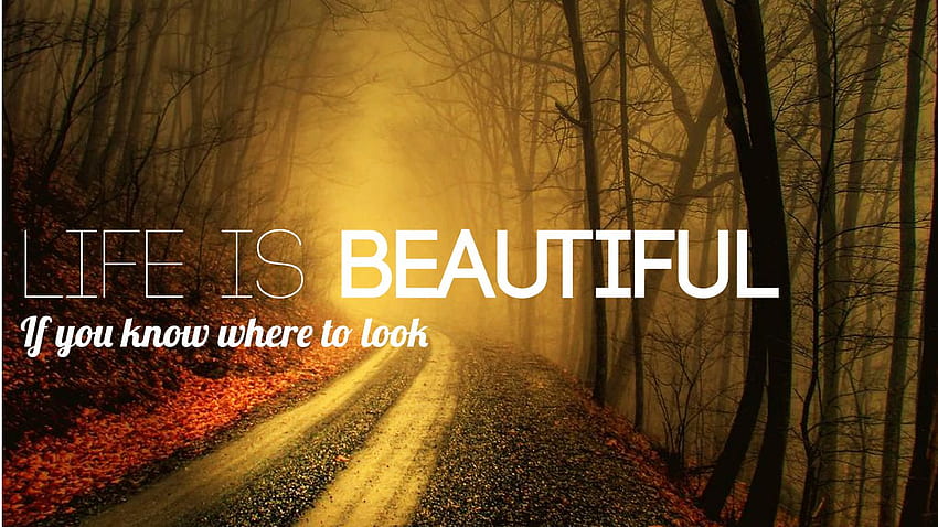 Quotes Life Is Beautiful Traveling Around The World HD wallpaper