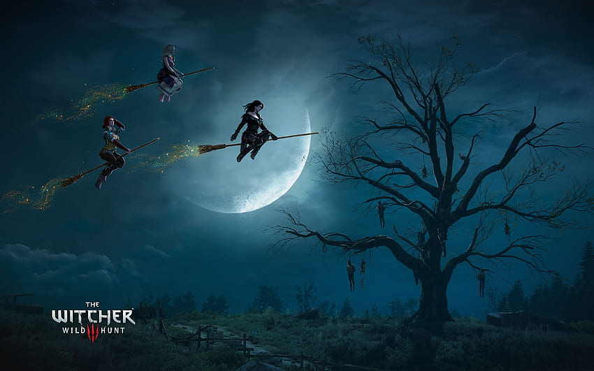 The Witcher 3 Wild Hunt Witches, Witcher 3 Dual Monitor HD wallpaper