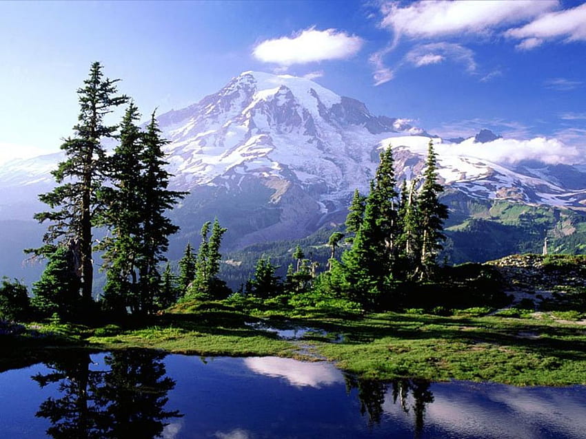 Deve.campeggiare.qui. Natura. Campeggio, Mount Rainier, Pacific Northwest Camping Sfondo HD