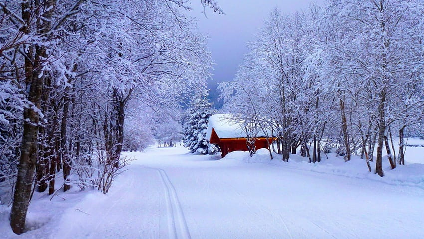 Зимен пейзаж, зима, скреж, къща, студ, сняг, клони, дървета, път, вила HD тапет