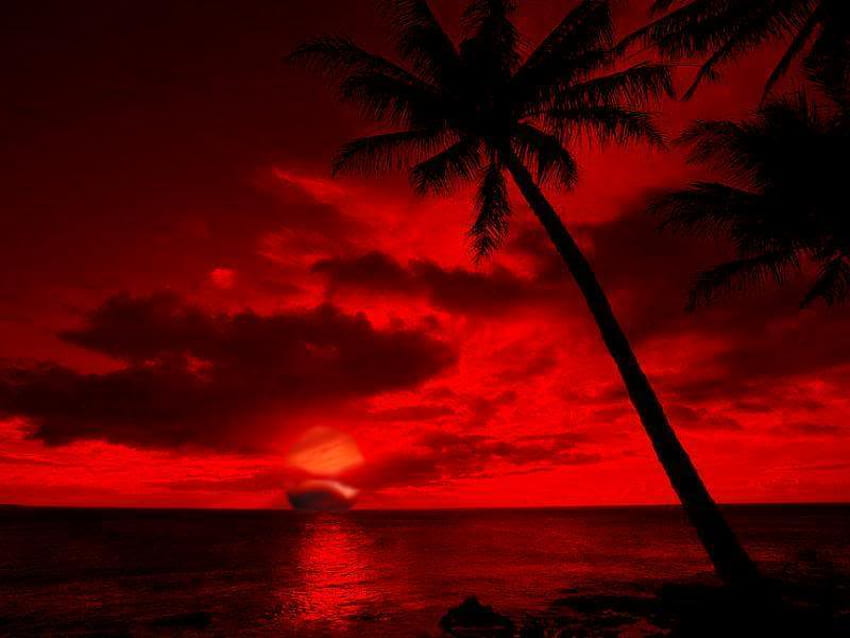 red 1.jpg, romantic, red, beach, plamtrees HD wallpaper