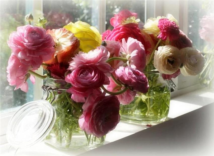 Kwiaty w oknie, kolorowe, okno, piękno, różowe, lekkie, różnorodnie barwione, natura, kwiaty Tapeta HD