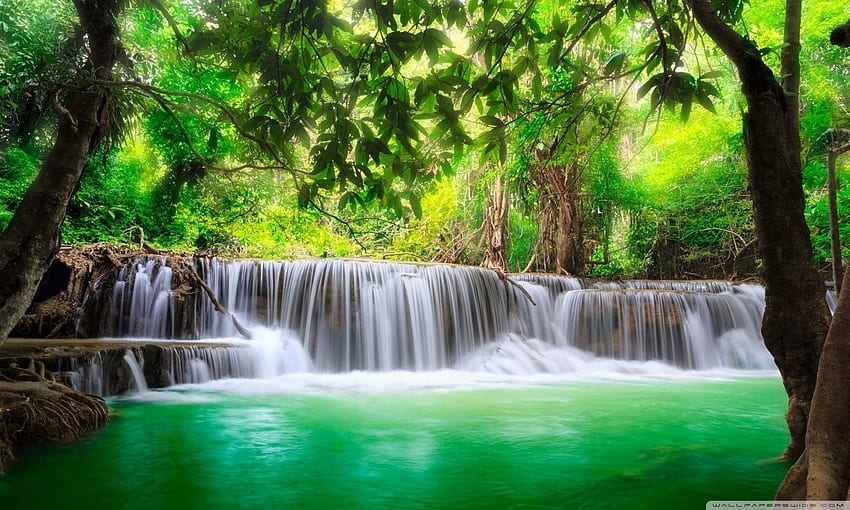 Green Tropical Waterfall Ultra Background for U TV : Multi Display, Dual Monitor : Tablet : Smartphone, Stress Relief HD wallpaper