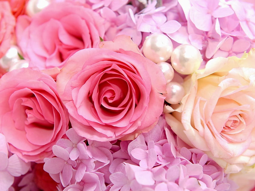 สำหรับแล็ปท็อปแอนิเมชั่นดอกกุหลาบสีชมพูน่ารัก ดอกไม้น่ารักสำหรับเด็กผู้หญิง วอลล์เปเปอร์ HD