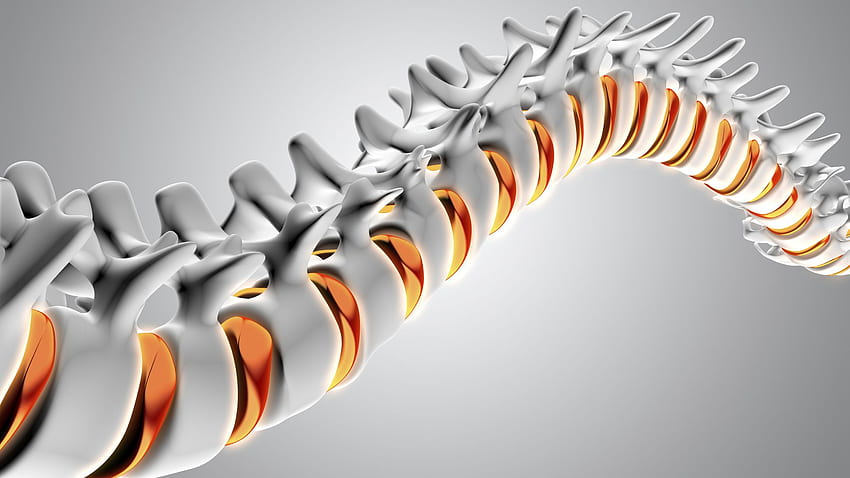 Recensioni di Carl Spivak MD Executive Chirurgia della colonna vertebrale, Chiropratico Sfondo HD