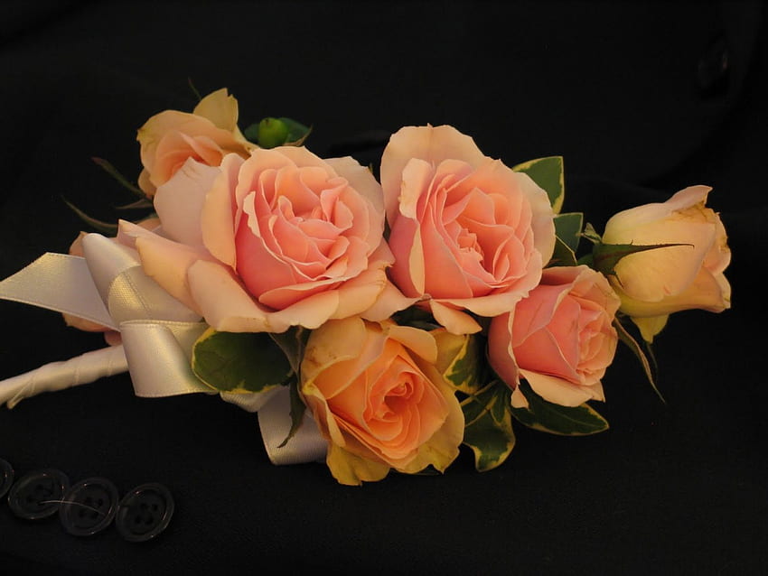 Pfirsich-Rosen, Blumenstrauß, Pfirsich, Rosen, wunderschön, Strauß, Blütenblätter, Schichten, Natur, Blumen HD-Hintergrundbild