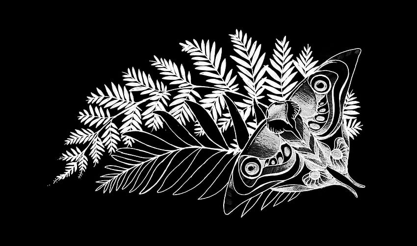 Japanese Tattoo Background, Japanese Tattoo Art HD wallpaper | Pxfuel