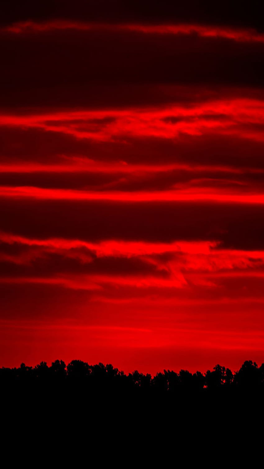 Colore rosso, colore rosso tramonto, colore rosso natura, natura rossa Sfondo del telefono HD