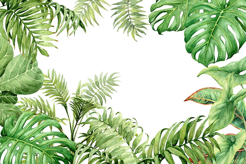 取り外し可能な壁画 剥がして貼る手描きの熱帯植物の枝と葉、ジャングルの植物 高画質の壁紙